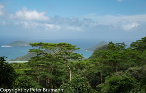 106  624aA99M2-01241