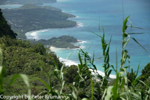 107  624aA99M2-01245