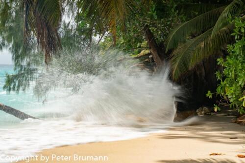 114  624aA99M2-01480