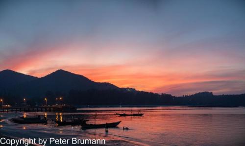 116-658A99M2-03835-Pano