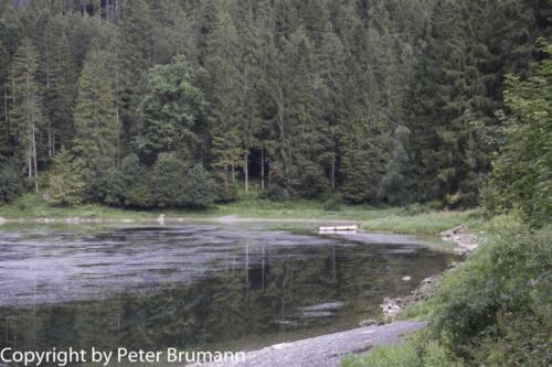 12-502PBR-RX100M3-01263