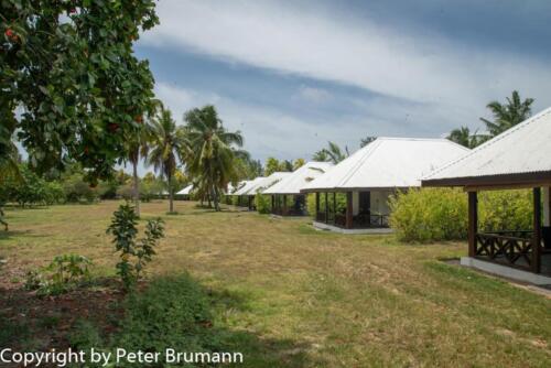 122  625aA99M2-01703