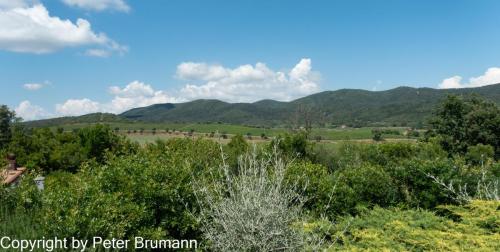 16-514RX100-M3-09442