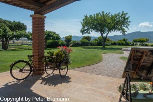 18-514RX100-M3-09454