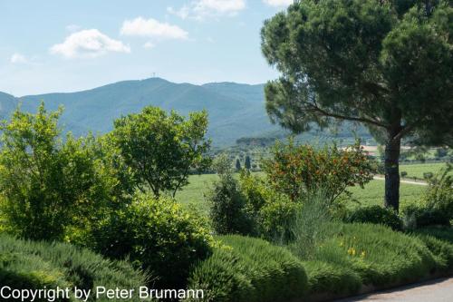 20-514RX100-M3-09457