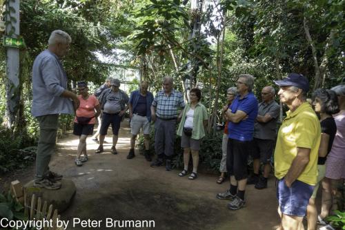 225-514RX100M3-09825 (1)