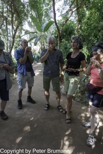 227-514RX100M3-09844 (1)