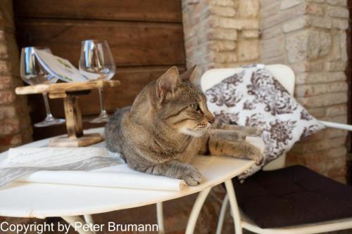 27-514RX100-M3-09518