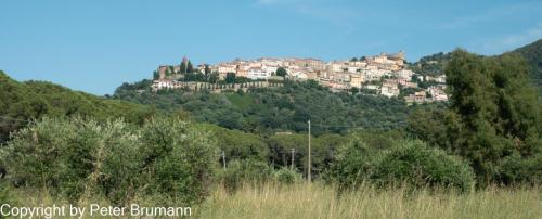 28-514RX100-M3-09519