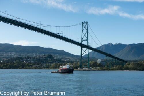 304  501PBRRX100M3-00427