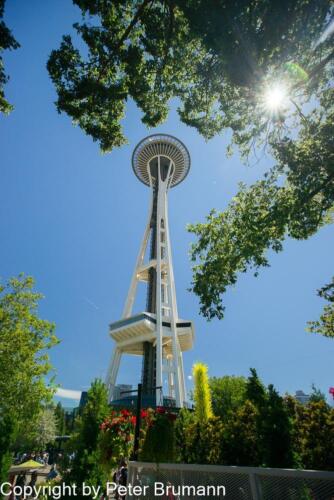 314  019PBRA850-5338