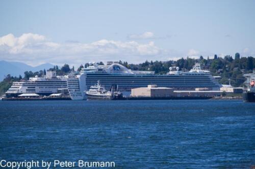 318  019PBRA850-5371