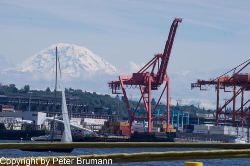 319  019PBRA850-5383