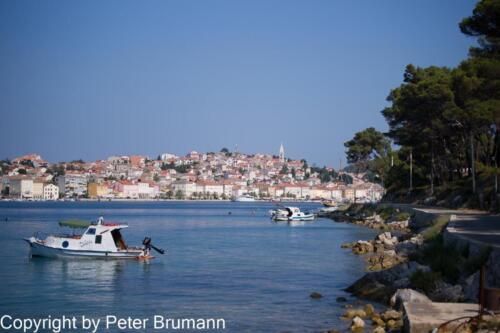 41  P107A850100-4758