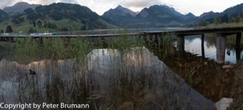 509RX100M3-05605-Pano