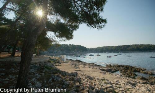 50  P107A850100-4876